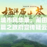 城市风华录，莆田篇之政府宣传疑云