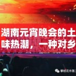 湖南元宵晚会的土味热潮，一种对乡村文化的艺术致敬还是非主流文化的复兴？