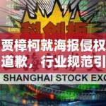 贾樟柯就海报侵权道歉，行业规范引关注