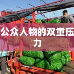 公众人物的双重压力