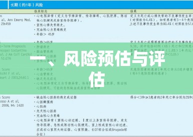 一、风险预估与评估 一、风险预估与评估