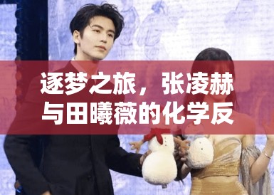 逐梦之旅,张凌赫与田曦薇的化学反应 逐梦之旅,张凌赫与田曦薇的化学反应